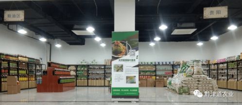 貴州戶戶達(dá) 以農(nóng)產(chǎn)品展示體驗(yàn)中心為橋，守護(hù)家鄉(xiāng)風(fēng)味，服務(wù)會(huì)務(wù)展覽